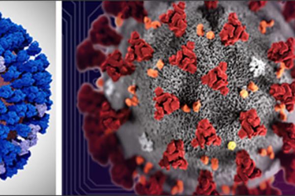 Coronavirus Massive Simulations Completed on Frontera Supercomputer