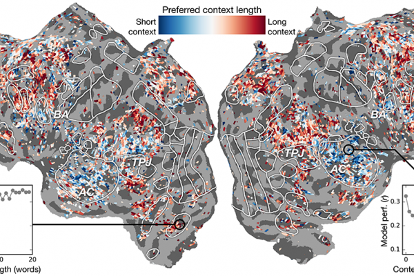 Brain-Inspired AI Inspires Insights about the Brain (And Vice Versa)