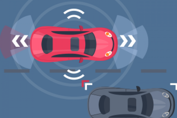 Investigating Visibility and Interactive Information Sharing in Collaborative Sensing Systems